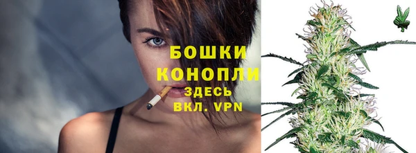 стаф Каменка