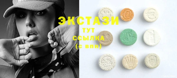 стаф Каменка