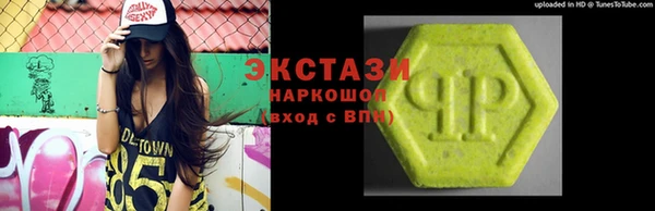 стаф Каменка