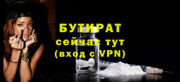 стаф Каменка