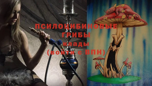 стаф Каменка