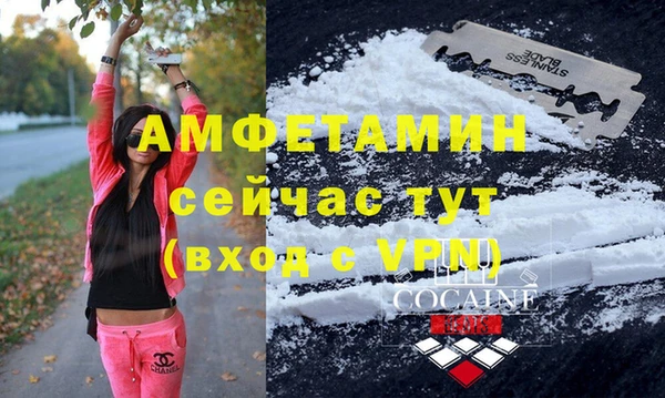 стаф Каменка