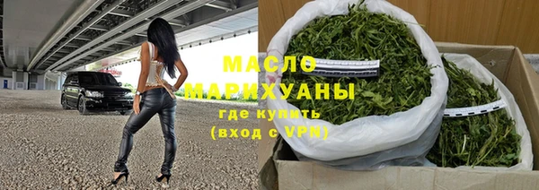 стаф Каменка