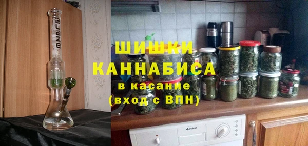 стаф Каменка