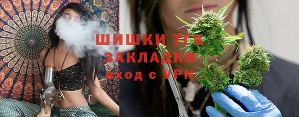 стаф Каменка