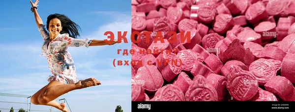 стаф Каменка