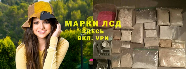 стаф Каменка
