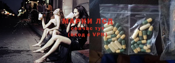 стаф Каменка