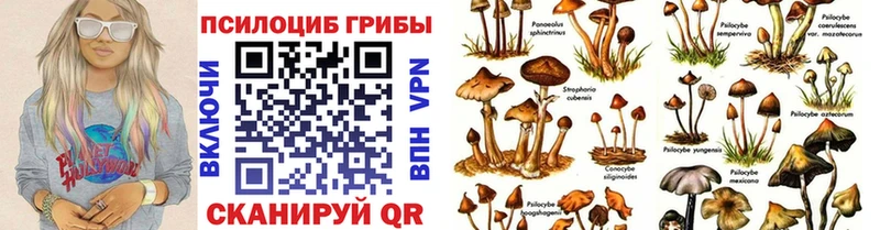 Псилоцибиновые грибы GOLDEN TEACHER  Купить закладки  Гулькевичи 