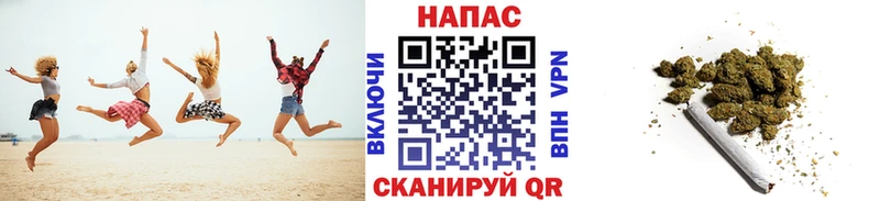 Купить  Гулькевичи  Шишки марихуана Amnesia 